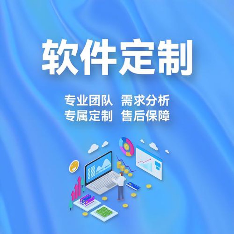 软件定制开发：打造企业专属的技术翅膀